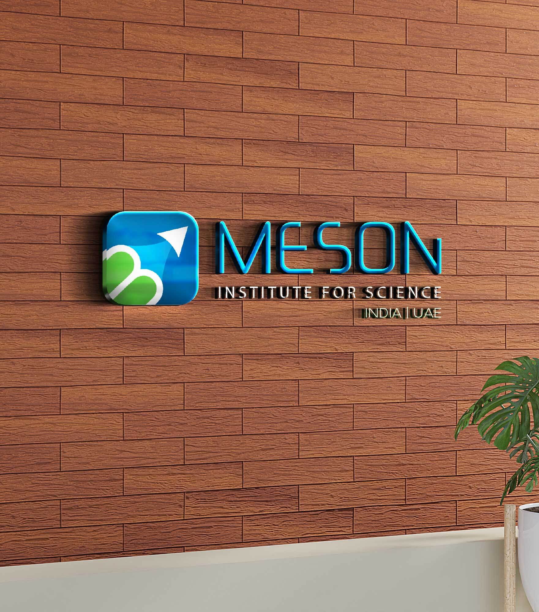 meson-insude